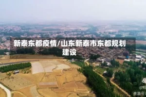 新泰东都疫情/山东新泰市东都规划建设