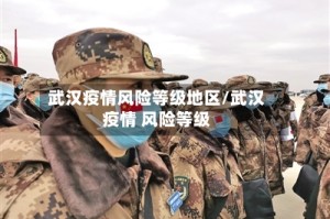 武汉疫情风险等级地区/武汉疫情 风险等级