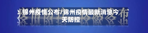 锦州疫情公布/锦州疫情最新消息今天防控-第3张图片