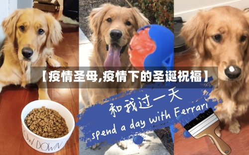 【疫情圣母,疫情下的圣诞祝福】-第3张图片