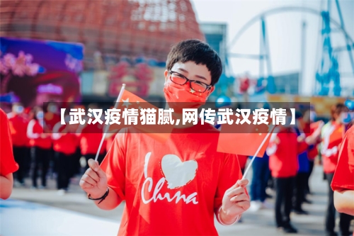 【武汉疫情猫腻,网传武汉疫情】-第2张图片