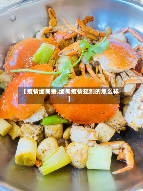 【疫情缅甸蟹,缅甸疫情控制的怎么样】-第1张图片