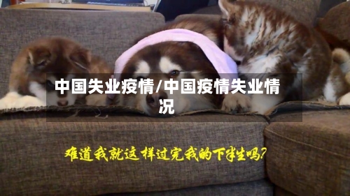 中国失业疫情/中国疫情失业情况-第1张图片