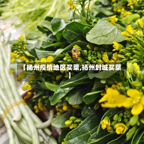 【扬州疫情地区买菜,扬州封城买菜】-第2张图片